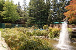 Property Image 489Pool/Pond Area
