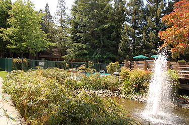 Pool/Pond Area
