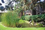 Property Image 489